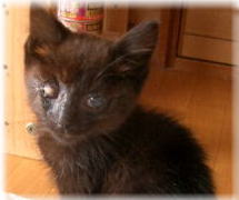 0727_toichi.jpg