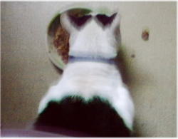 0811_horukoutoubu.jpg