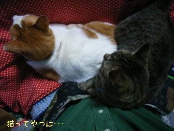 071221_ginsha.jpg