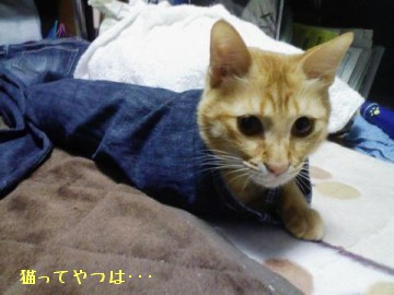 080114_sena.jpg