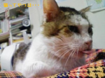 080219_heiji.jpg