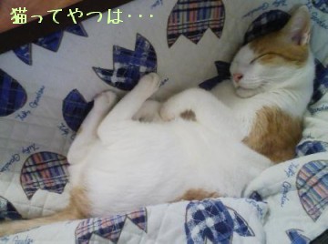 20100314_ginta.jpg