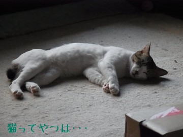 20100602_ryou.jpg