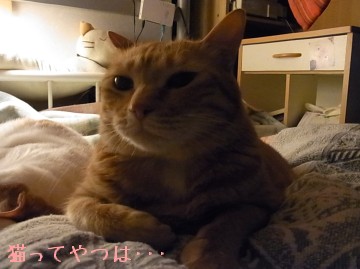 20100604_yui.jpg