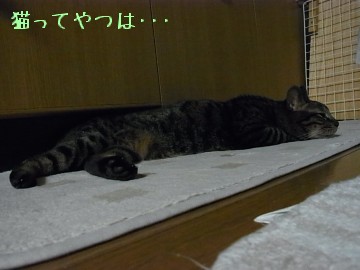 20100611_kento1.jpg