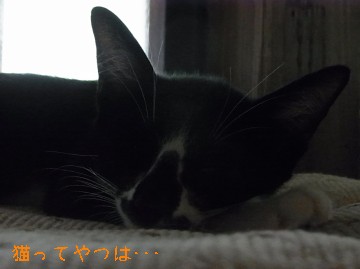 20100916_mamoru.jpg