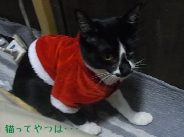 20101130_mamoru.jpg