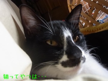 20101209_mamoru.jpg