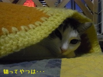 20101213_rara1.jpg