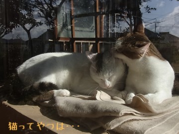 20101214_ruirara2.jpg