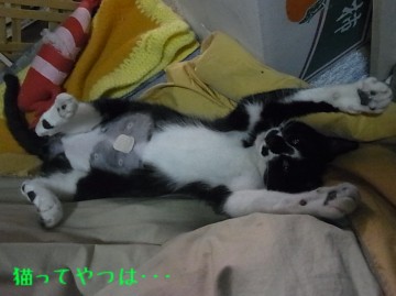 20101215_mamoru.jpg