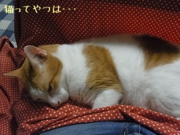 20111013_ginta.jpg