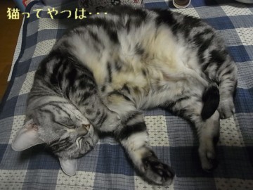 20111016_kiri.jpg