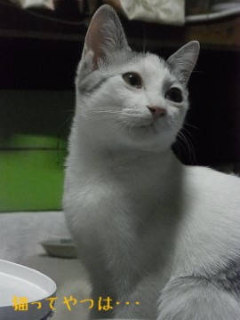 20111123_hiro1.jpg